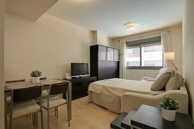 Apart Daire, 1 Yatak Odası