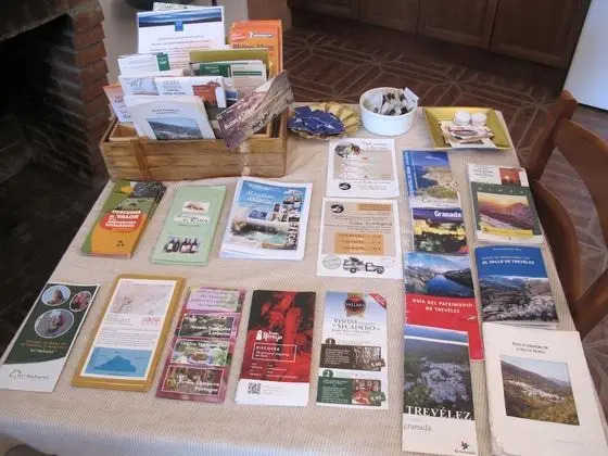 Panoramic Apart Daire, 1 Yatak Odası, Şömine, Dağ Manzaralı