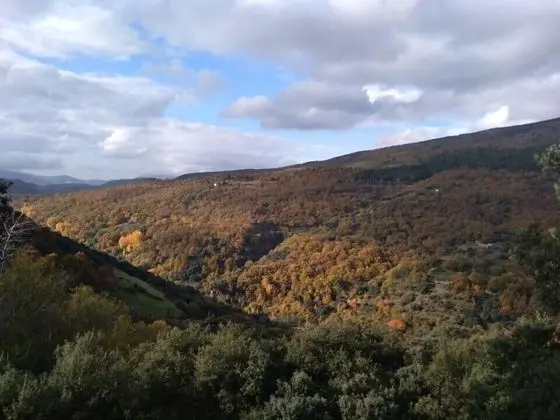 Panoramic Apart Daire, 1 Yatak Odası, Şömine, Dağ Manzaralı