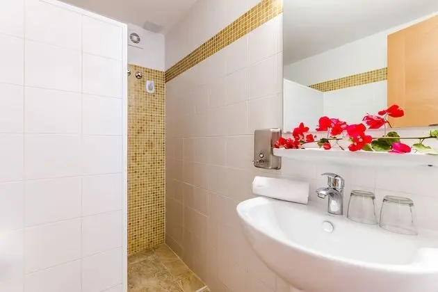 Standard Apart Daire, 1 Yatak Odası