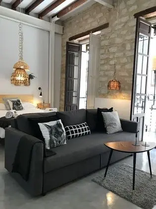 Çatı Katı (Loft) (1B)
