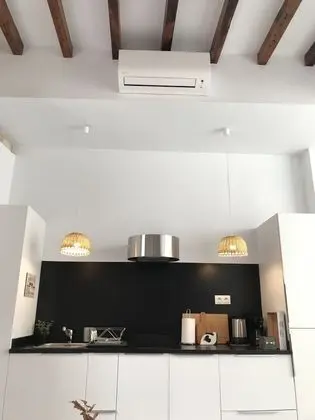 Çatı Katı (Loft) (2B)