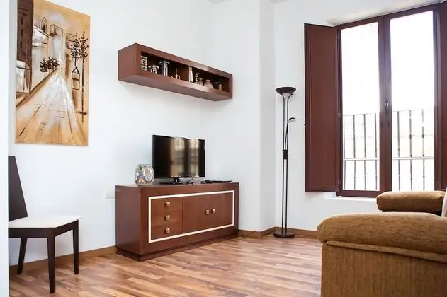 Apart Daire, 1 Yatak Odası (3 People - C/ San Jeronimo 2)