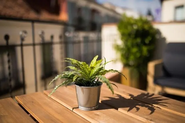 City Çatı Katı Süiti (Penthouse)