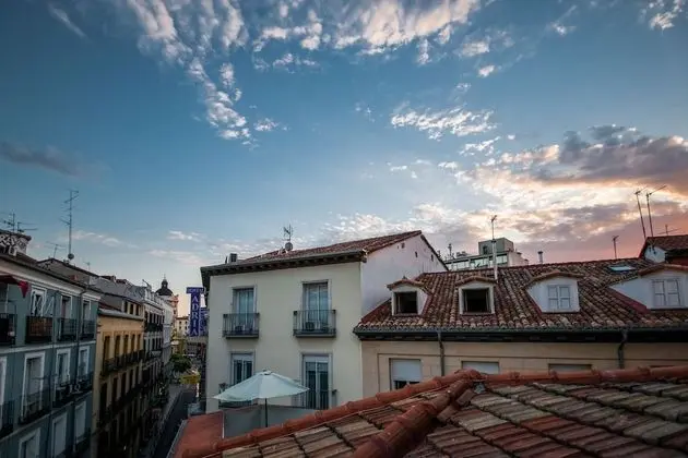 City Çatı Katı Süiti (Penthouse)