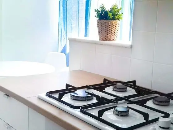 Superior Apart Daire, Özel Banyo, Şehir Manzaralı