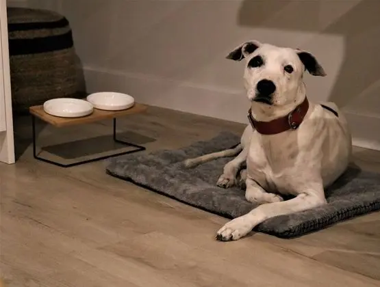 Çatı Katı Süiti (Penthouse), 1 Yatak Odası, Teras