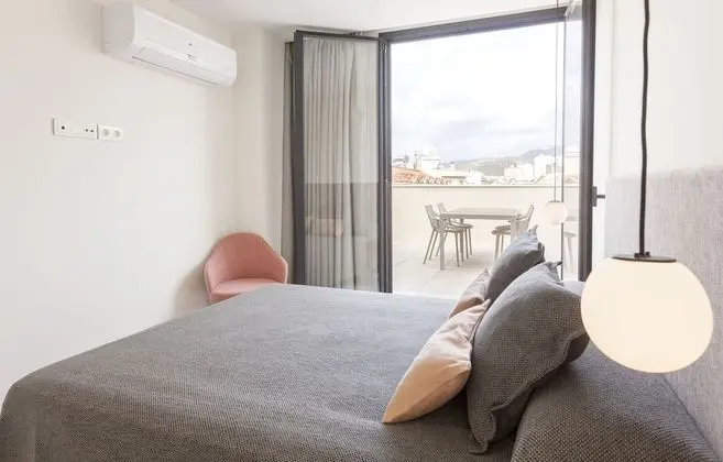 Çatı Katı Süiti (Penthouse), 1 Yatak Odası, Teras
