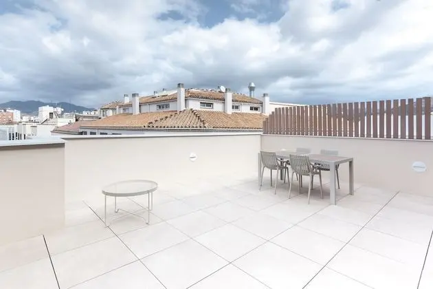 Çatı Katı Süiti (Penthouse), 1 Yatak Odası, Teras