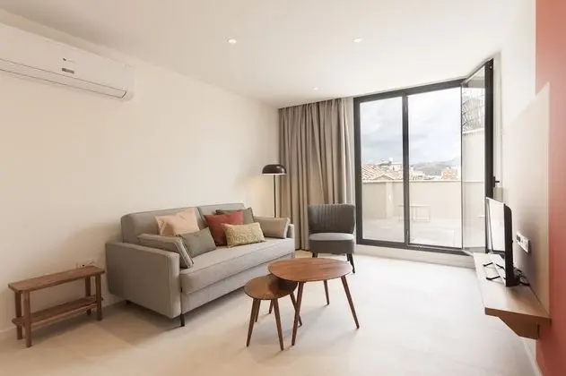 Çatı Katı Süiti (Penthouse), 1 Yatak Odası, Teras