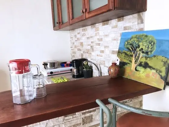Standard Apart Daire, 2 Yatak Odası, Sigara İçilmez