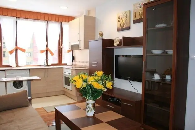 Apart Daire, 1 Yatak Odası