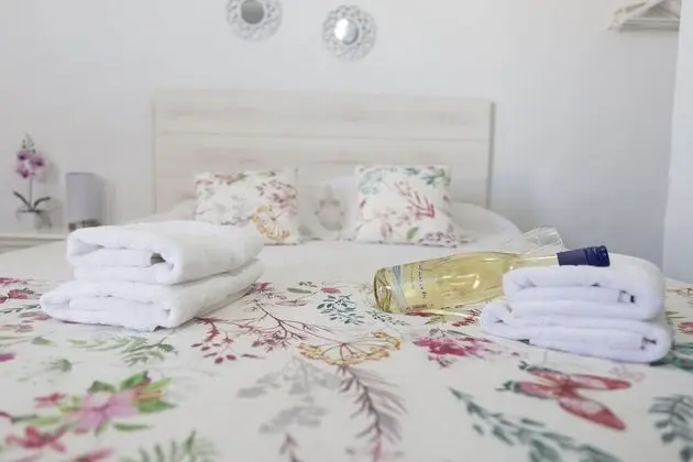 Standard Apart Daire, 1 Yatak Odası, Teras