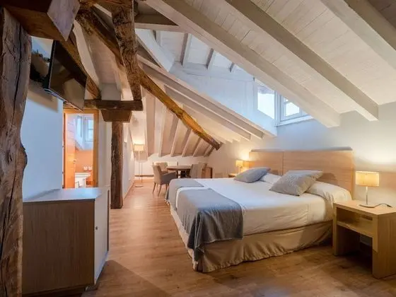 Superior Tek Büyük Yataklı Oda, Banyolu/Duşlu