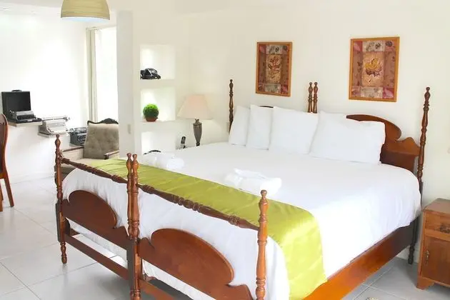 Deluxe Apart Daire, 1 Yatak Odası, Sigara İçilmez
