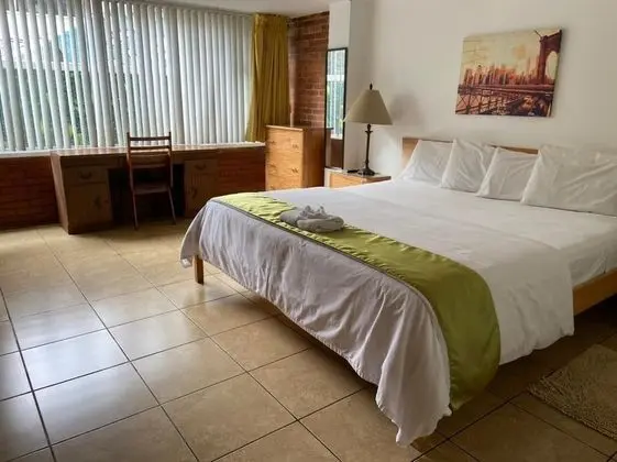 Deluxe Apart Daire, 1 Yatak Odası, Sigara İçilmez