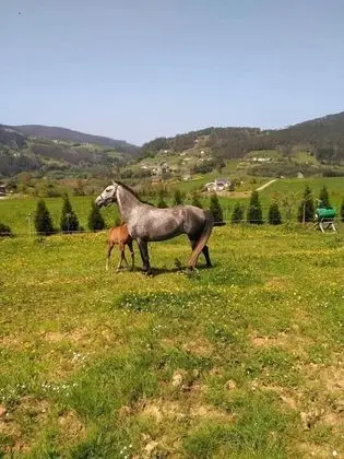 Apart Daire, 2 Yatak Odası, Teras (El Rey de La Torre)