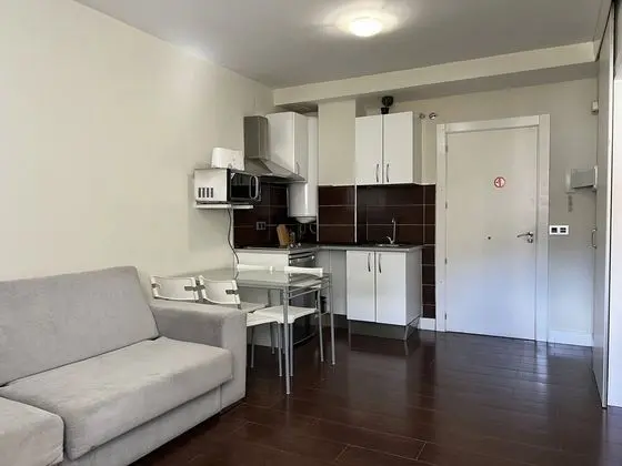 Apart Daire, 1 Yatak Odası (4 People)