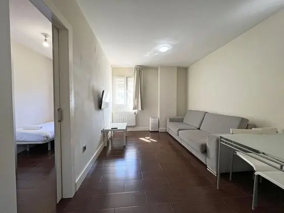 Apart Daire, 1 Yatak Odası (4 People)
