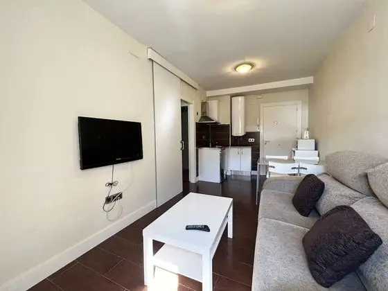 Apart Daire, 1 Yatak Odası (4 People)