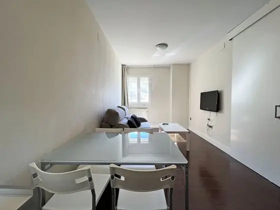 Apart Daire, 1 Yatak Odası (4 People)