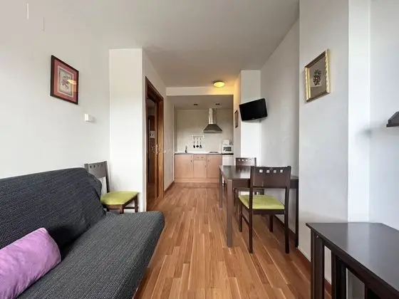 Apart Daire, 1 Yatak Odası (4 People)