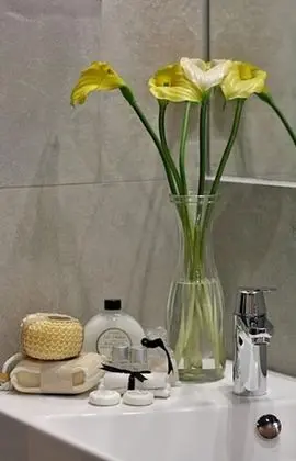 Deluxe Apart Daire, 1 Yatak Odası