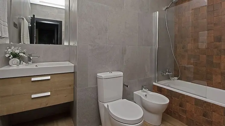 Deluxe Çatı Katı Süiti (Penthouse), Teras