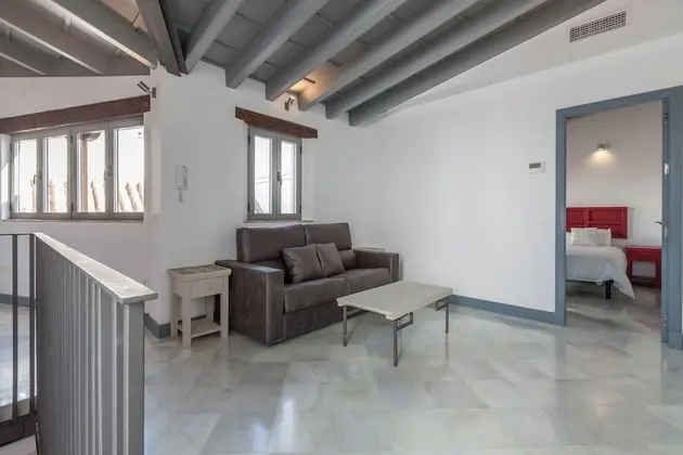 Çatı Katı Süiti (Penthouse)
