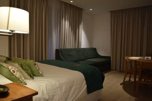 Luxury Stüdyo, Mutfak, Şehir Manzaralı