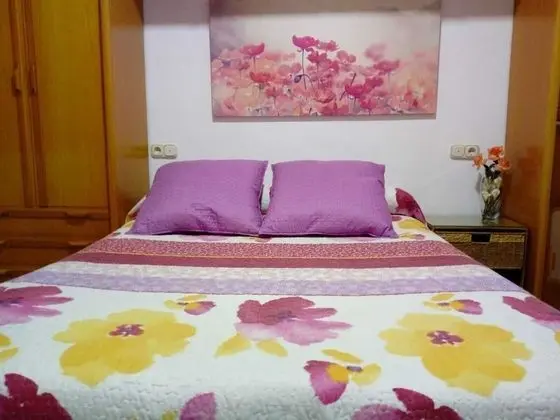 Apart Daire, 1 Yatak Odası, Teras