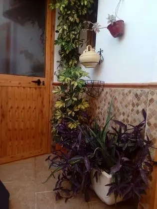 Apart Daire, 1 Yatak Odası, Teras