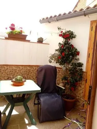 Apart Daire, 1 Yatak Odası, Teras