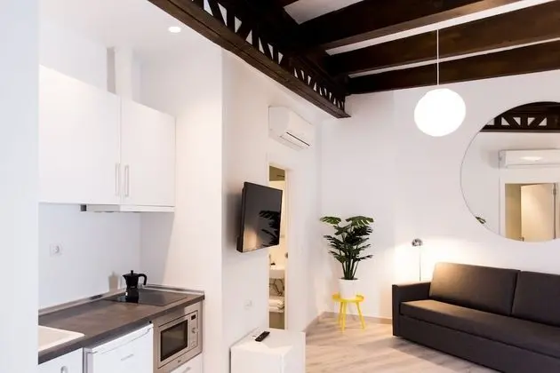 Apart Daire, 1 Yatak Odası