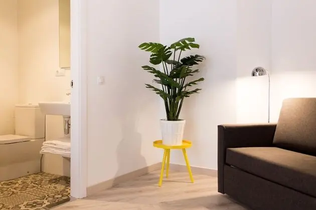 Superior Apart Daire, 1 Yatak Odası
