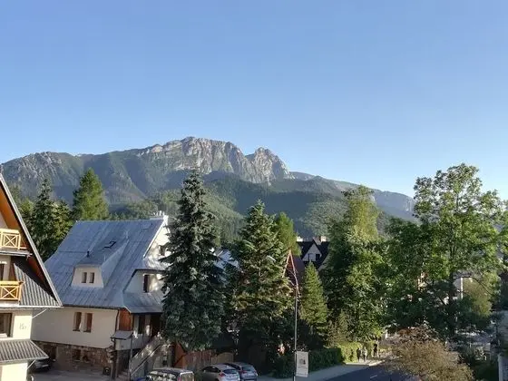 Apart Daire, 1 Yatak Odası, Şömine