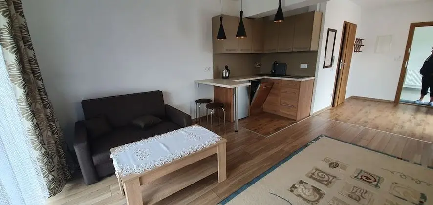 Standard Apart Daire, 1 Yatak Odası, Küçük Mutfak