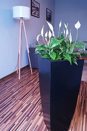 Comfort Apart Daire, 1 Yatak Odası, Sigara İçilmez, Küçük Mutfak