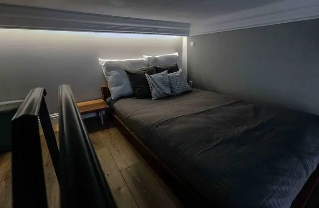 Standard Tek Büyük Yataklı Oda, 1 Çift Kişilik Yatak