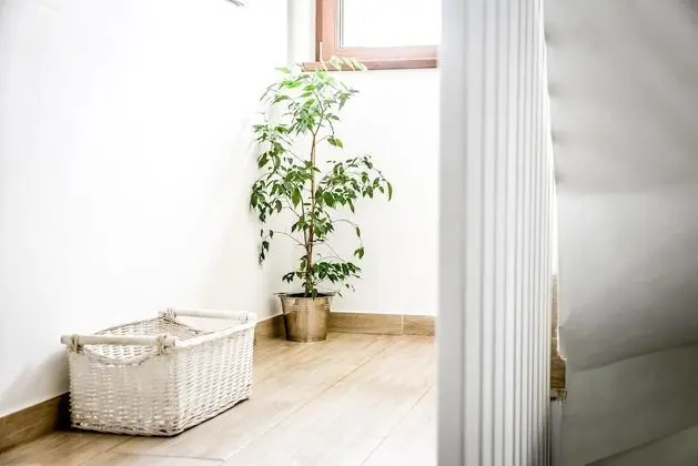 2-level Deluxe Apartment (1)