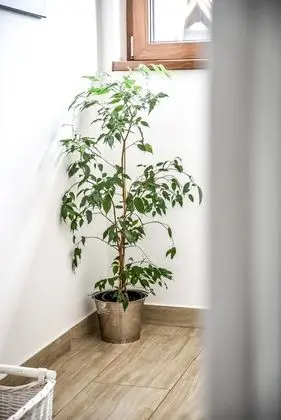 2-level Deluxe Apartment (2)