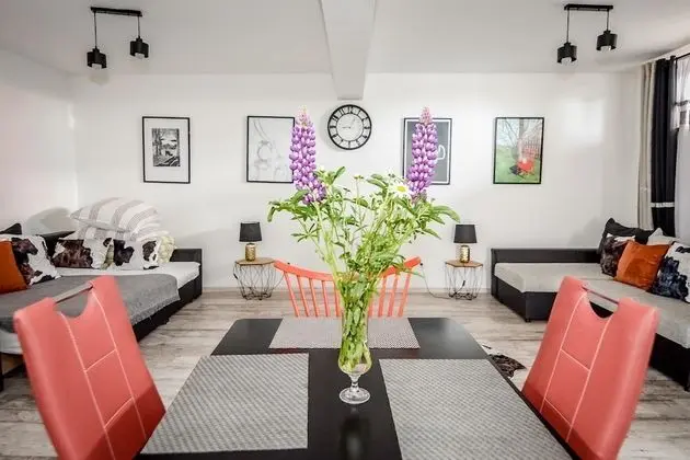 Deluxe Apart Daire (3)