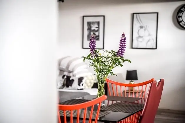 Deluxe Apart Daire (3)