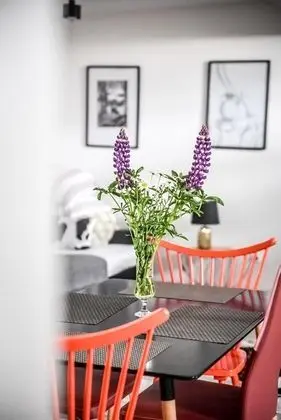 Deluxe Apart Daire (3)