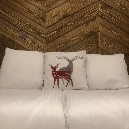 Deluxe Apart Daire (Ermitage)