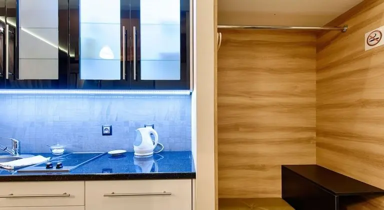 Comfort Stüdyo, 1 Büyük (Queen) Boy Yatak ve Çekyat, Küçük Mutfak