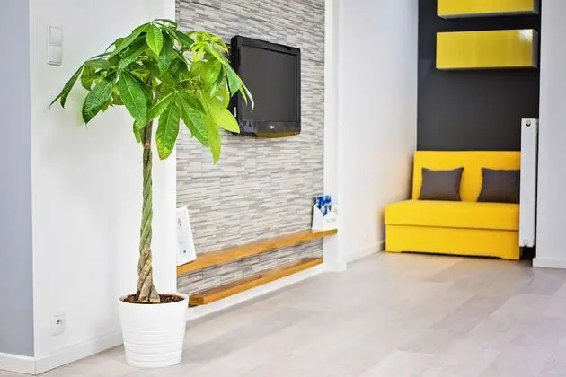 Apart Daire (Everest)