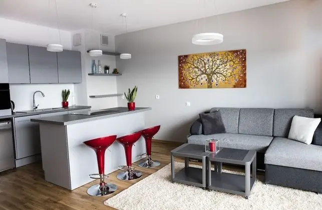 Superior Apart Daire, 1 Yatak Odası