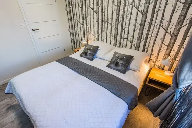 Deluxe Apart Daire, 1 Büyük (Queen) Boy Yatak ve Çekyat