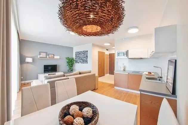 Deluxe Apart Daire (95)